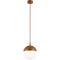 Argon 8998 - Zunanji lestenec na kablu LIV 1xE27/15W/230V IP44 rjav