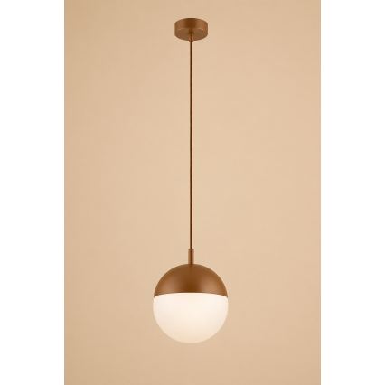 Argon 8998 - Zunanji lestenec na kablu LIV 1xE27/15W/230V IP44 rjav