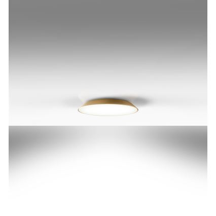 Artemide AR 0241320A - LED Stropna svetilka FEBE 4xLED/30W/230V