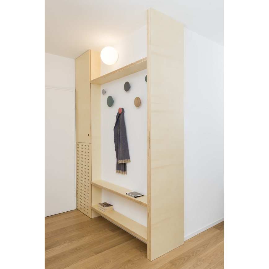 Artemide AR 1039110A - Kopalniška stropna svetilka DIOSCURI 1xE14/6W/230V IP44
