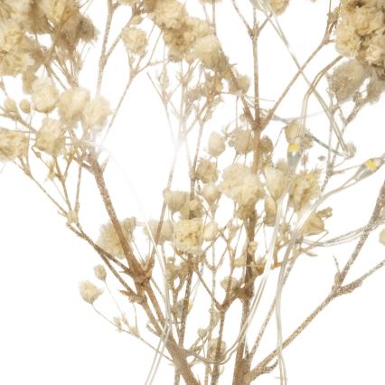 Atmosphera - LED namizna svetilka MICRO LED/2xAAA antracitna