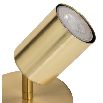 Atmosphera - Настінний точковий світильник VICO 1xGU10/25W/230V золото