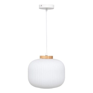 Atmosphera - Viseča svetilka na kablu TRAVIS 1xE27/25W/230V iz borovega lesa
