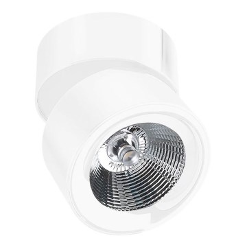 Azzardo AZ1618 - LED točkovna svetilka SCORPIO LED/10W/230V