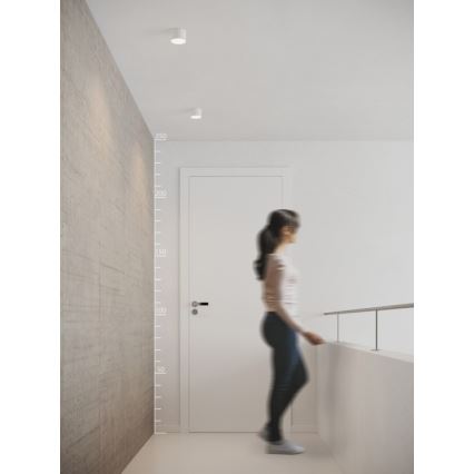 Azzardo AZ2253 - LED stropno svetilo MONZA LED/5W/230V