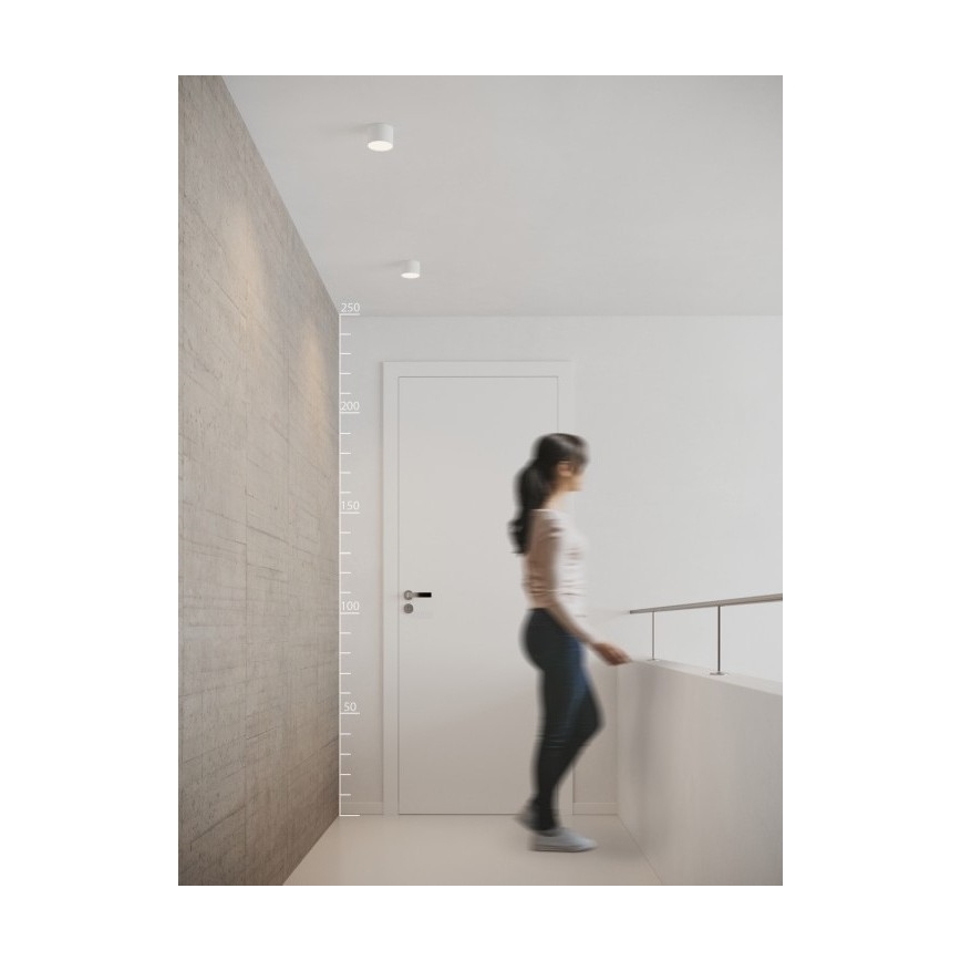 Azzardo AZ2253 - LED stropno svetilo MONZA LED/5W/230V