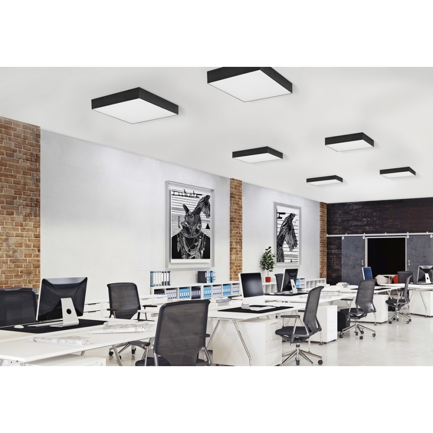 Azzardo AZ2274 - LED Stropna svetilka MONZA SQUARE 1xLED/50W/230V