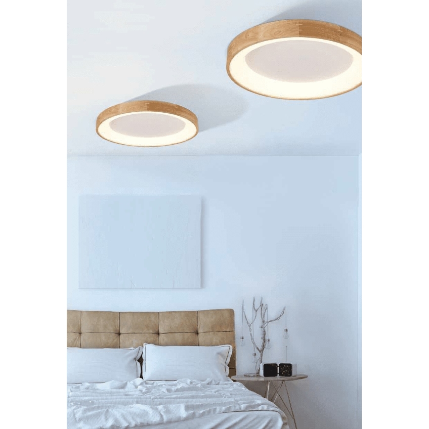 Azzardo AZ2698 - LED Stropna svetilka SILVAM 1xLED/50W/230V