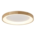 Azzardo AZ2698 - LED stropna svetilka SILVAM LED/50W/230V