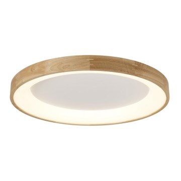 Azzardo AZ2698 - LED stropna svetilka SILVAM LED/50W/230V