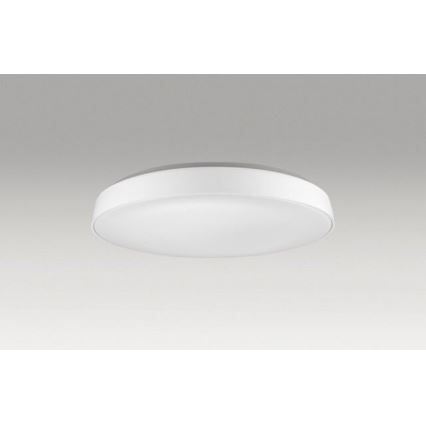 Azzardo AZ2741 - LED Stropna svetilka CORTONA 1xLED/50W/230V 3000K