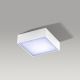Azzardo AZ2781 - LED Stropna svetilka FALCO LED/12W/230V