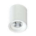 Azzardo AZ2845 - LED Stropna svetilka MANE 1xLED/10W/230V