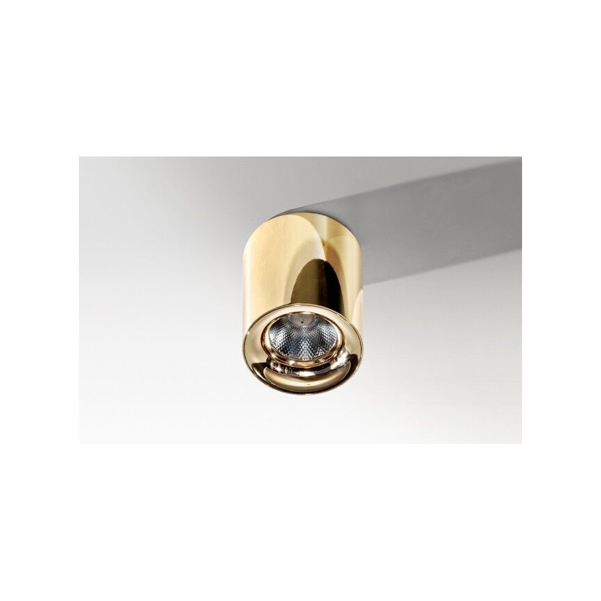 Azzardo AZ2846 - LED Stropna svetilka MANE 1xLED/10W/230V