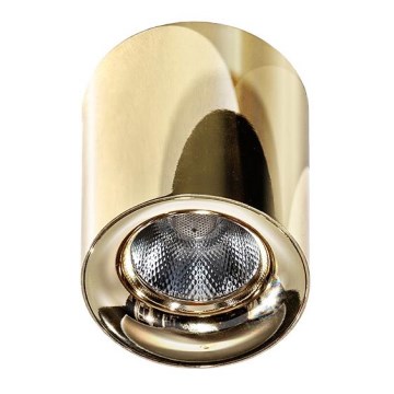 Azzardo AZ2846 - LED stropna svetilka MANE LED/10W/230V