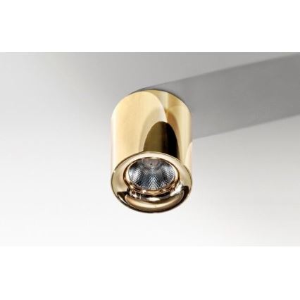 Azzardo AZ2846 - LED stropna svetilka MANE LED/10W/230V