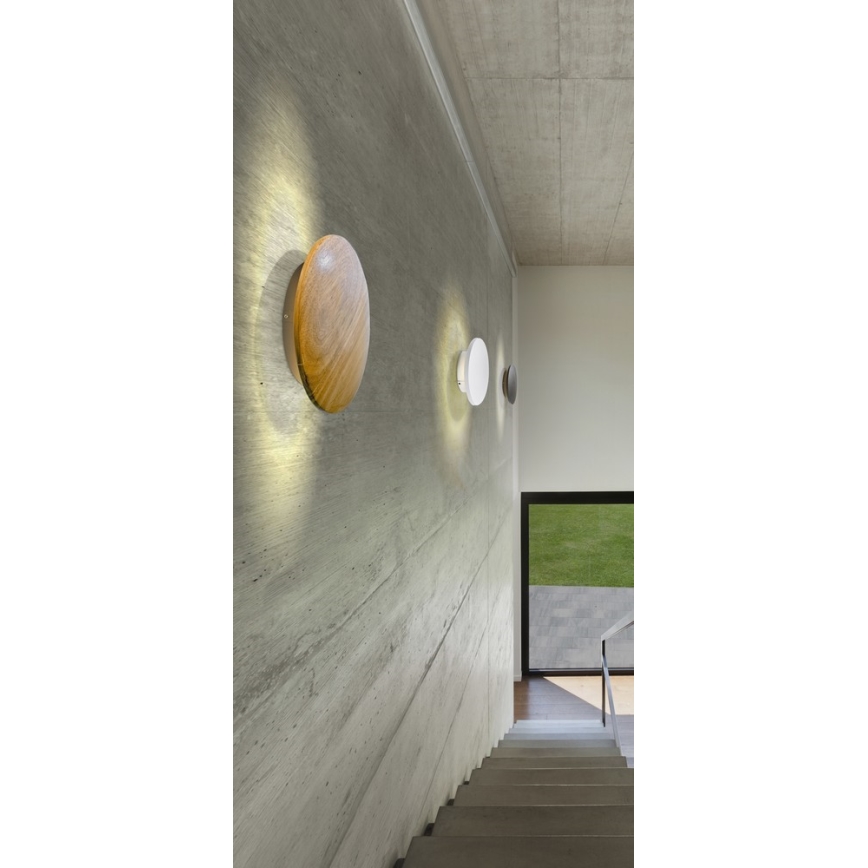 Azzardo AZ2853 - LED Zunanja stropna svetilka ANCONA 1xLED/24W/230V IP54