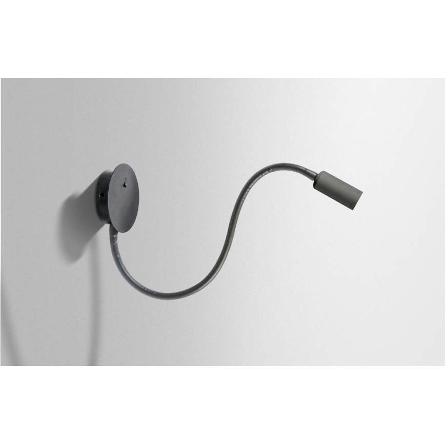 Azzardo AZ2943 - LED stensko točkovno svetilo NOGAT LED/3W/230V