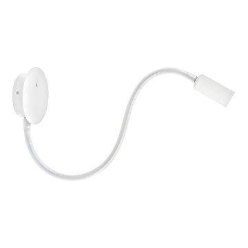 Azzardo AZ2944 - LED stenska točkovna svetilka NOGAT LED/3W/230V