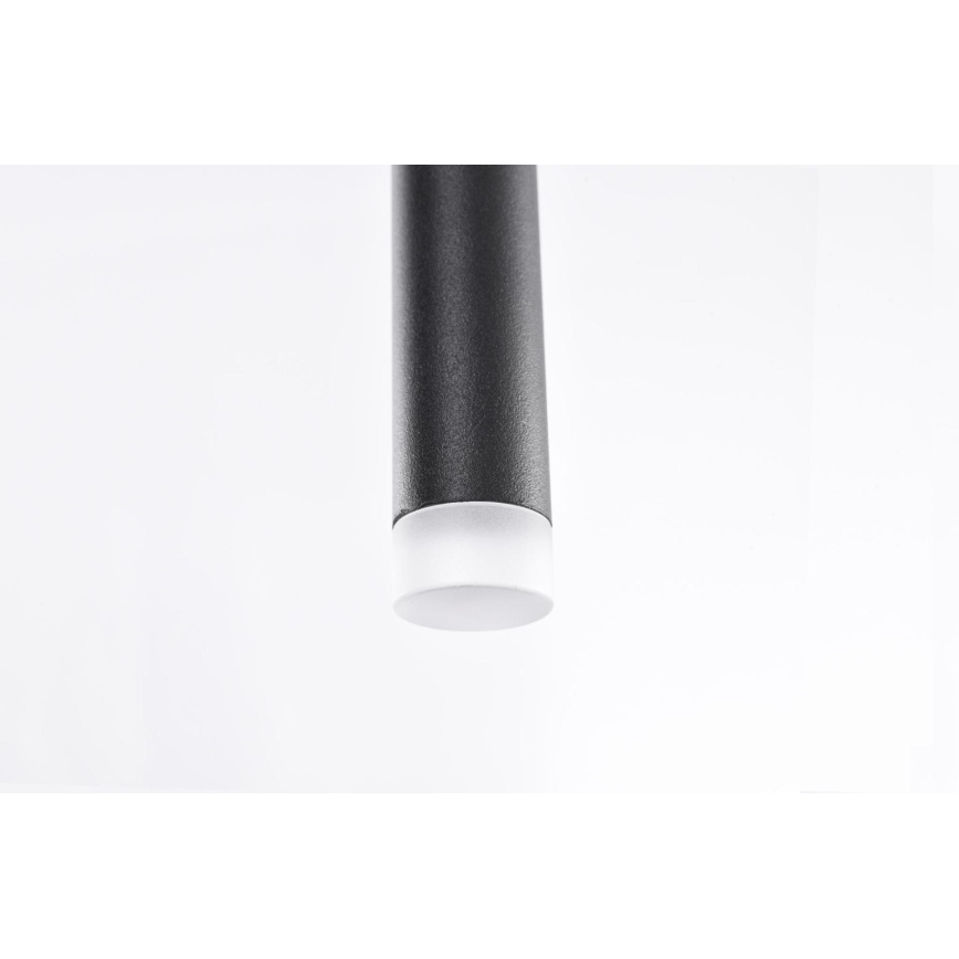 Azzardo AZ3155 - LED Lestenec na vrvici LOUISE LED/3W/230V