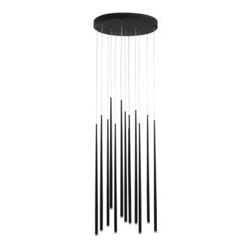 Azzardo AZ3419 - LED Lestenec na vrvici LOUISE 12xLED/3W/230V črna