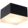 Azzardo AZ4336  - LED Zunanja stropna svetilka APULIA LED/10W/230V IP54 CRI 90
