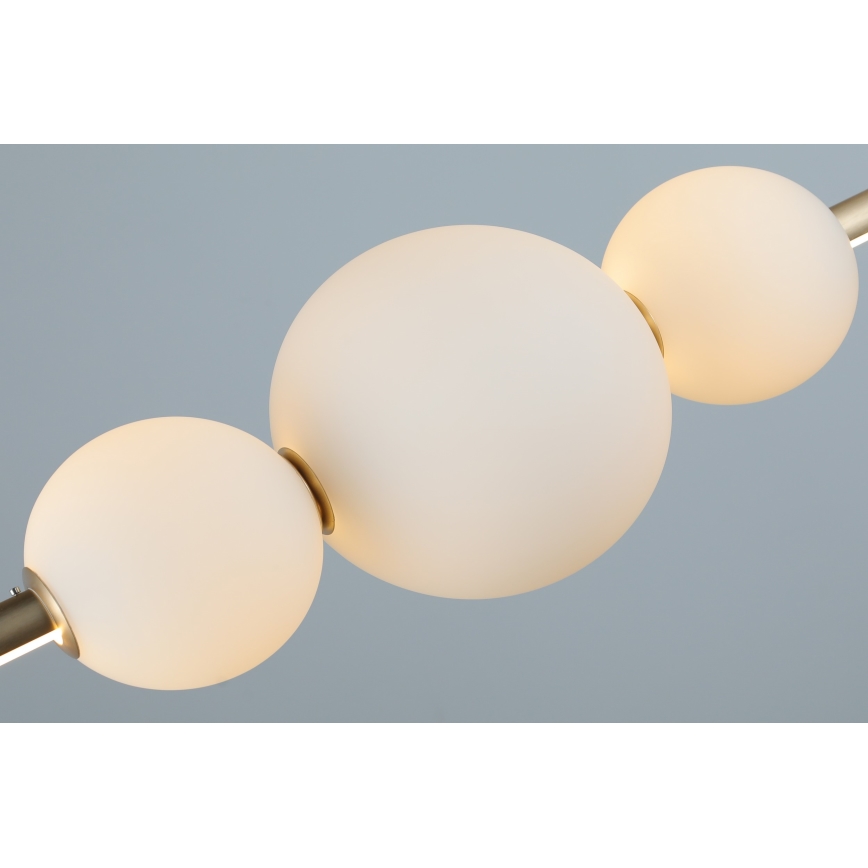 Azzardo AZ4427 - LED Zatemnitveni lestenec na vrvici SANDRA LED/48W/230V zlat
