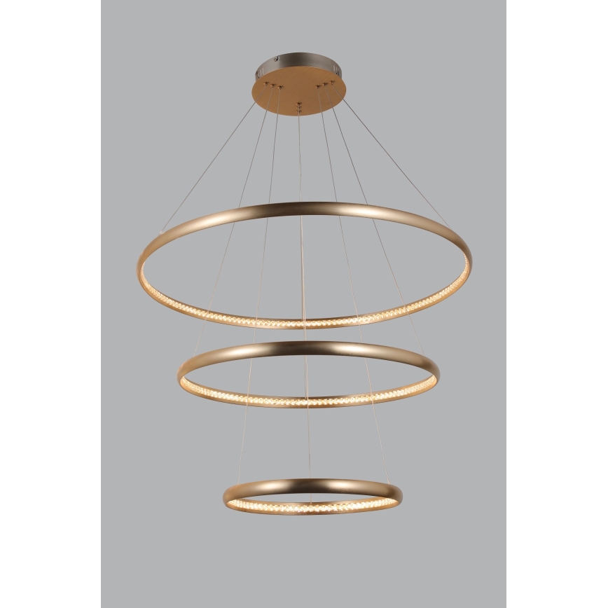 Azzardo AZ4429 - LED Lestenec na vrvici BRIGHTON LED/55W/230V gold