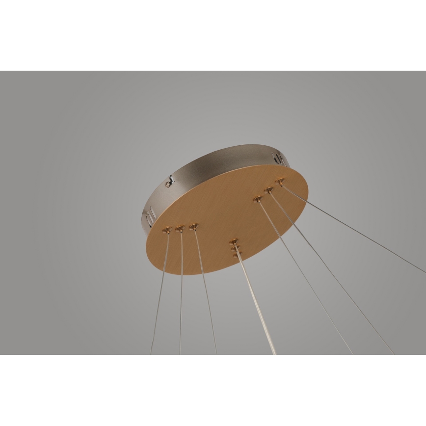 Azzardo AZ4429 - LED Lestenec na vrvici BRIGHTON LED/55W/230V gold