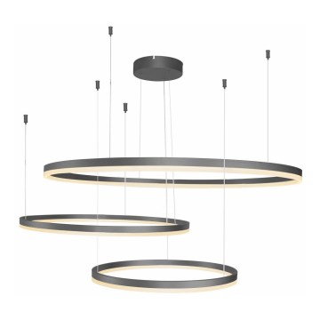 Azzardo AZ4707 - LED lestenec na kablu HALO LED/130W/230V črna