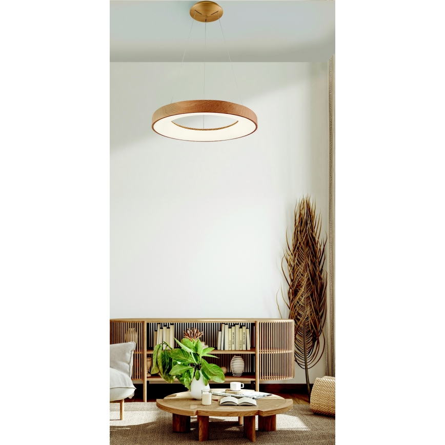 Azzardo AZ5010 - LED Zatemnitveni lestenec na vrvici SANTANA LED/50W/230V rjava + Daljinski upravljalnik