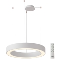 Azzardo AZ5052 - zatemnljiv lestenec na kablu MARCO LED/100W/230V, bel + daljinski upravljalnik