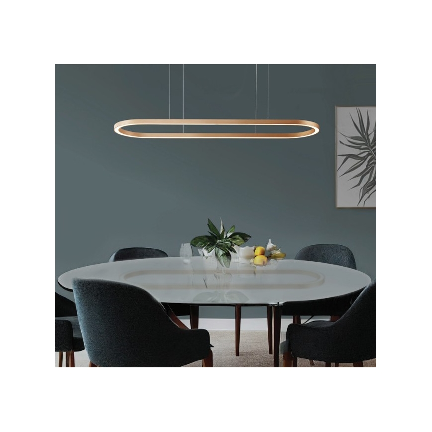 Azzardo AZ5056 - LED Zatemnitveni lestenec na vrvici ELENA LED/50W/230V 120 cm zlata