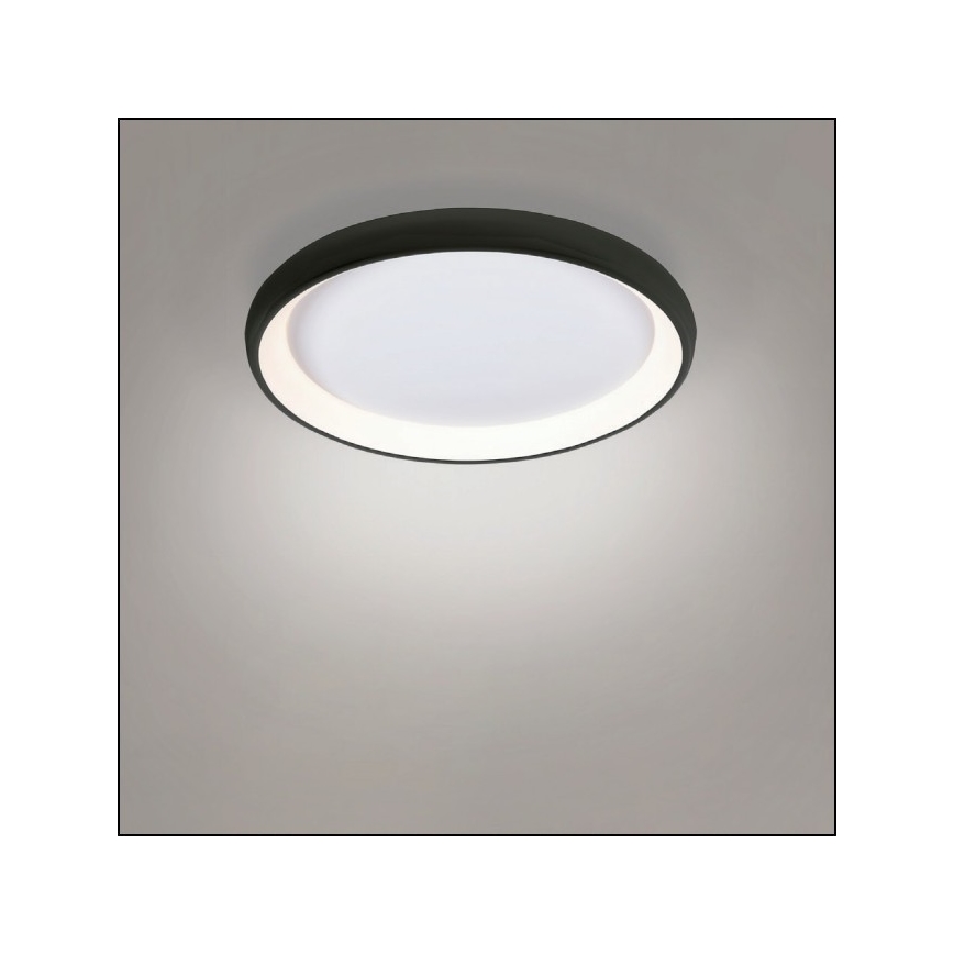 Azzardo AZ5072 - LED Zatemnitvena stropna svetilka ANTONIO LED/50W/230V črna + Daljinski upravljalnik