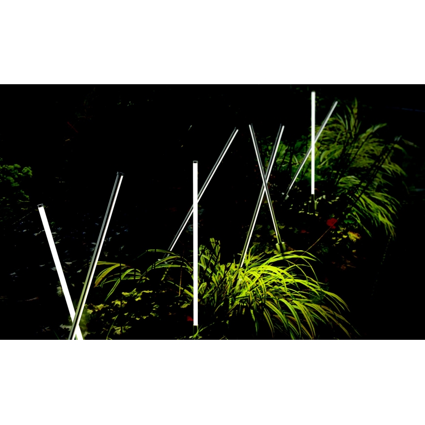 Azzardo AZ5337 - LED Zunanja svetilka FREDO LED/6W/230V IP54 58 cm