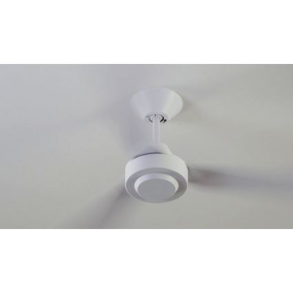 BAYSIDE 213015 - Stropni ventilator CALYPSO bela