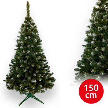 Božična jelka 150 cm (jedla)