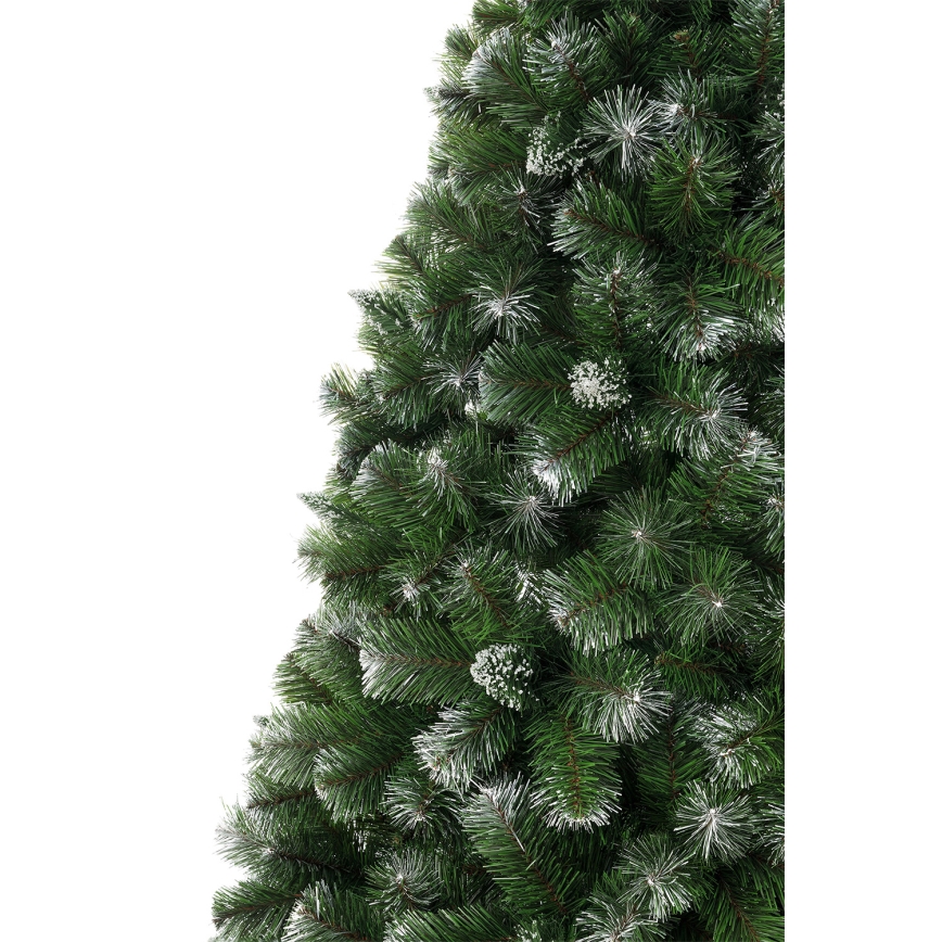 Božično drevo 120 cm borovica
