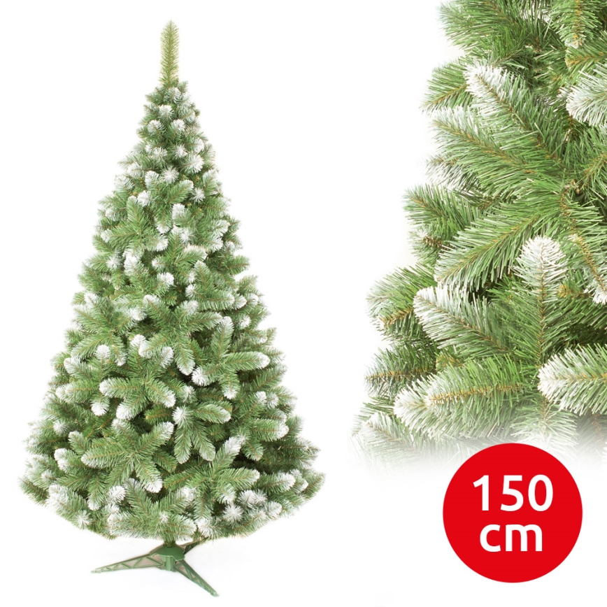 Božično drevo 150 cm bor