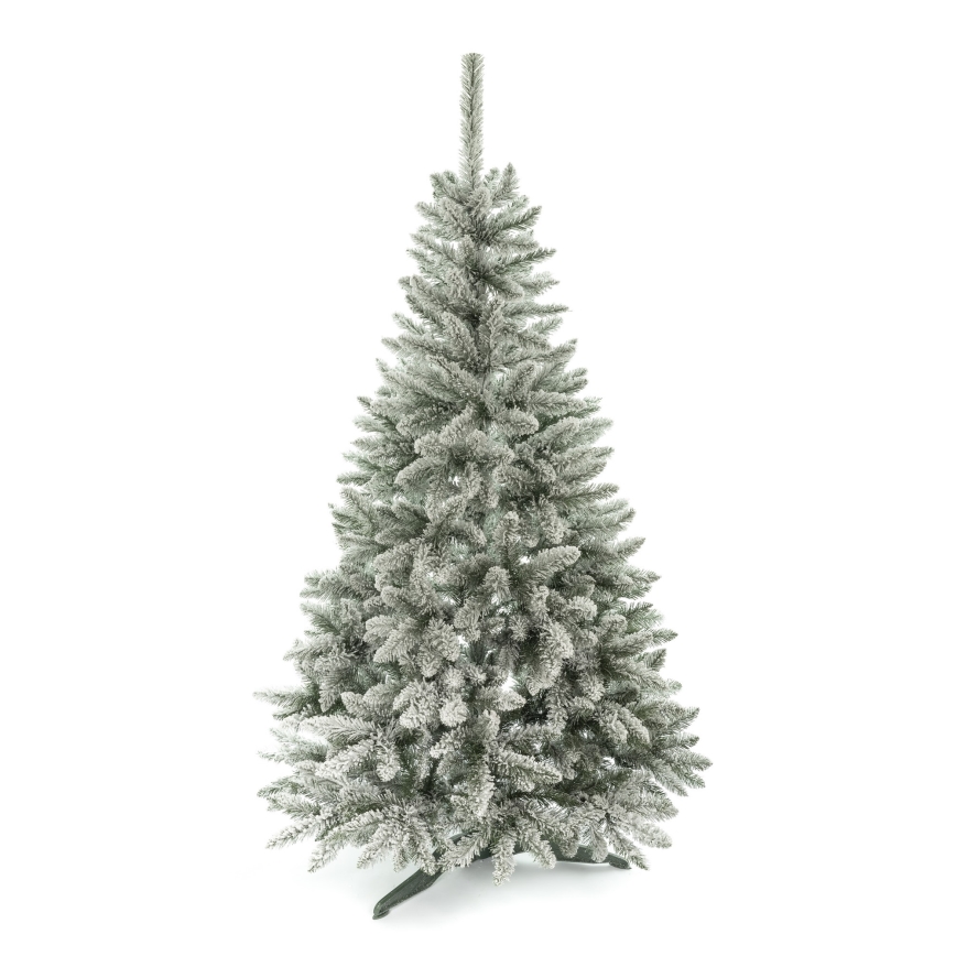 Božično drevo 150 cm smreka