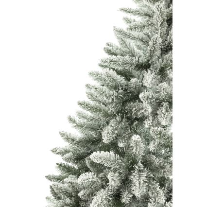 Božično drevo 150 cm smreka