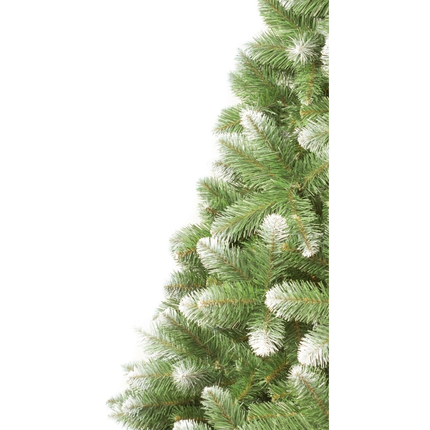Božično drevo 180 cm bor