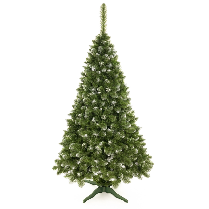 Božično drevo 220 cm bor