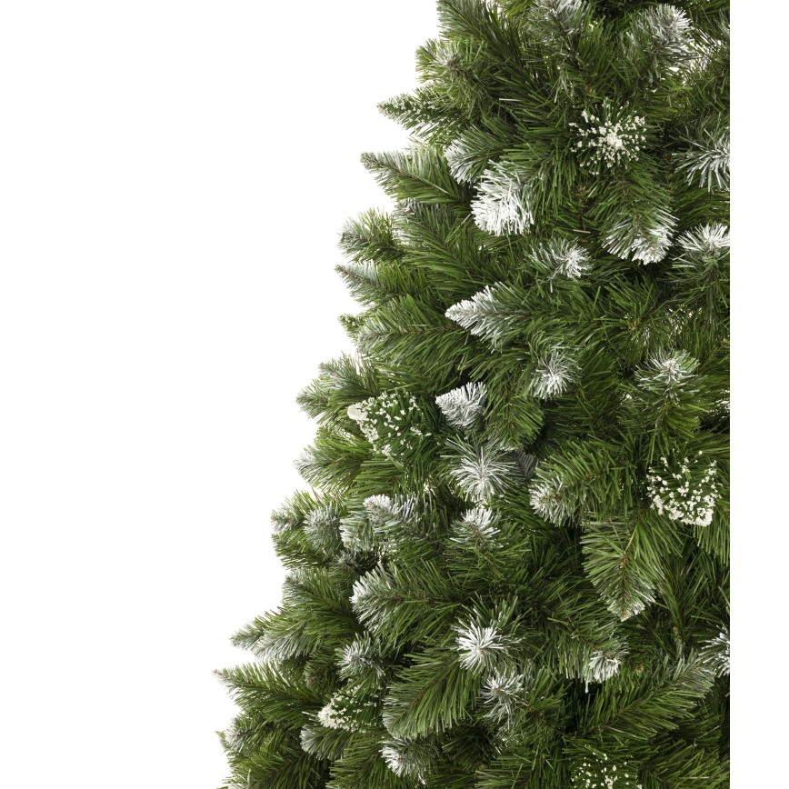 Božično drevo 220 cm bor