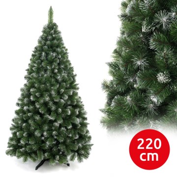 Božično drevo 220 cm bor