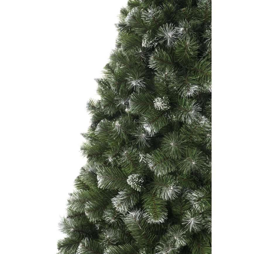 Božično drevo 220 cm bor