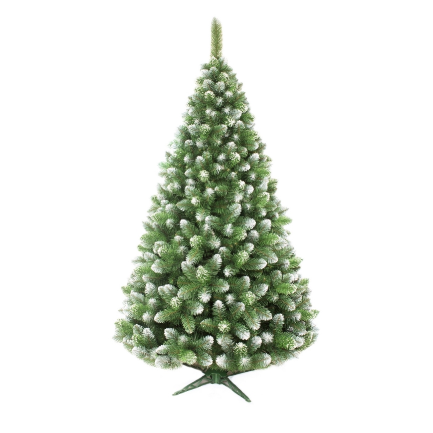 Božično drevo 220 cm bor