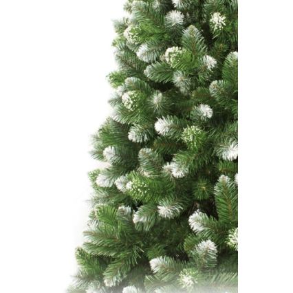 Božično drevo 220 cm, smreka