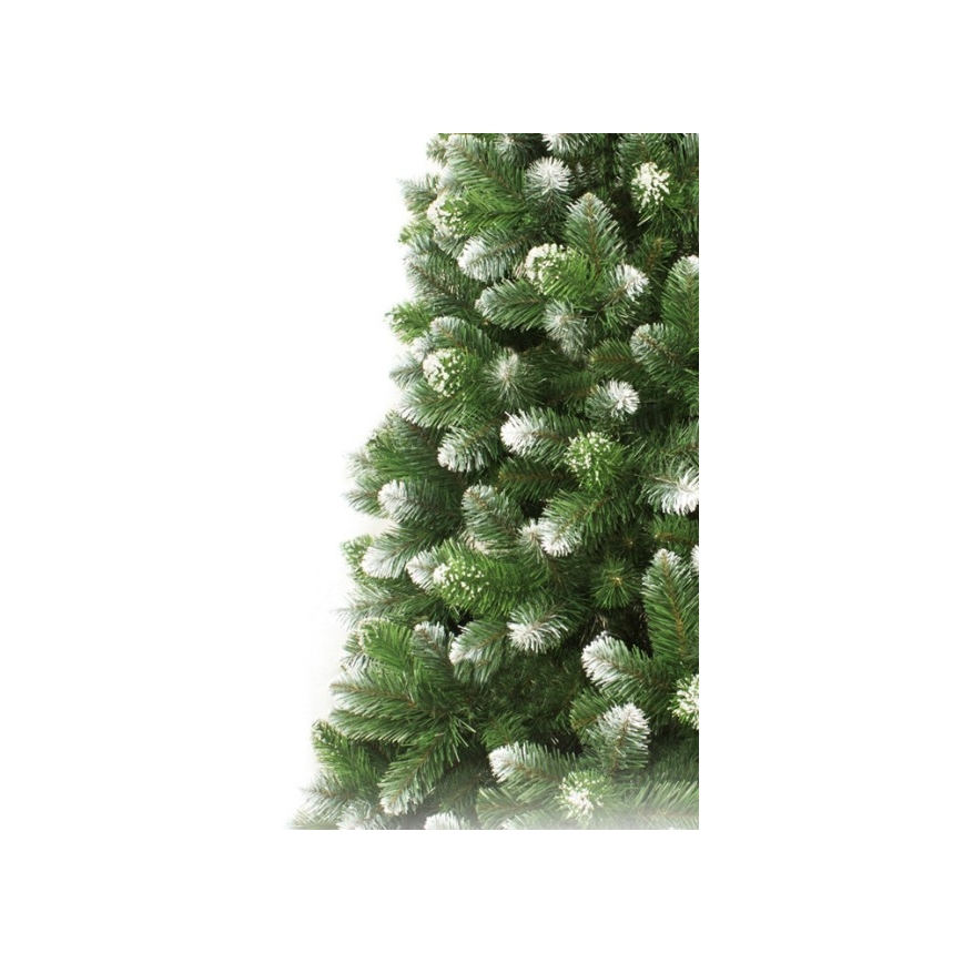 Božično drevo 220 cm, smreka