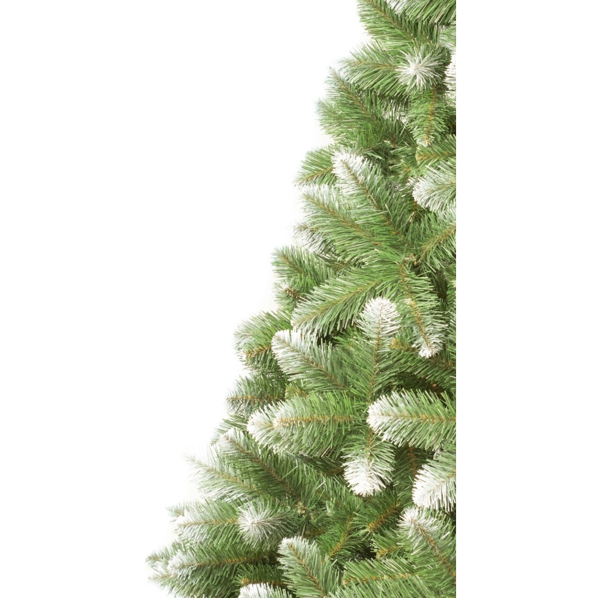 Božično drevo 250 cm bor